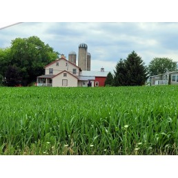 Private Countryside Back Roads Tour - Mon, Wed, Fri (2-23 People)