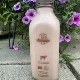 Milk - Eby Manor - Golden Guernsey - 4% Chocolate - 1L