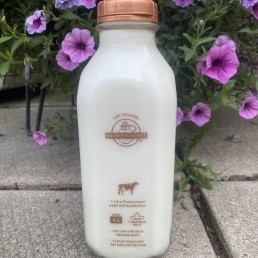 Milk - Eby Manor - Golden Guernsey - Homogenized 2% - 1 L