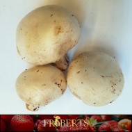 Mushrooms (1lb)