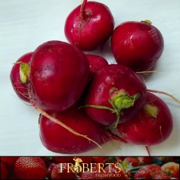 Radishes